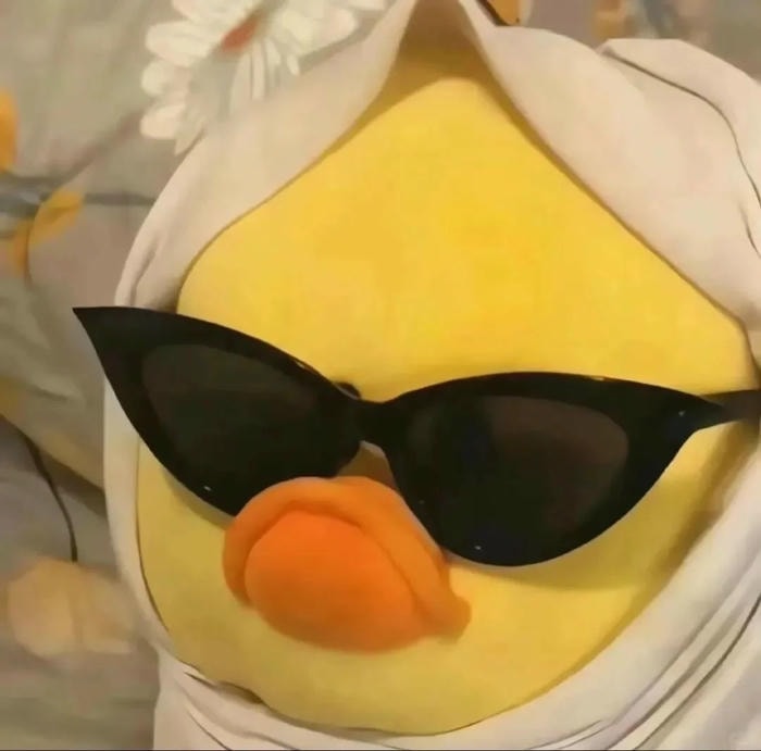 màu sắc tươi sáng avatar vịt cute