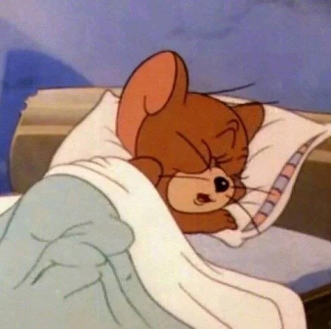 meme đi ngủ đáng yêu