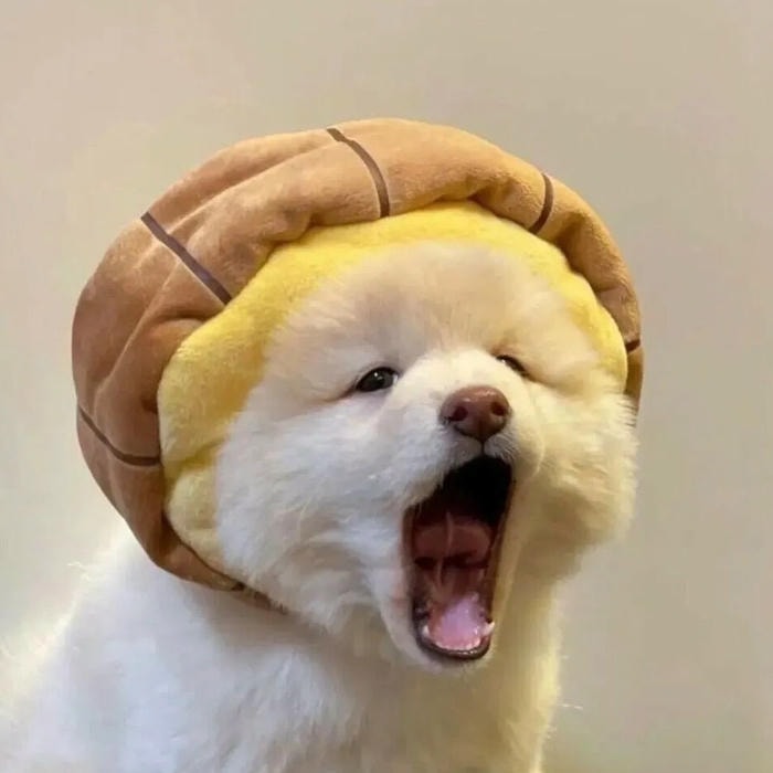 phong cách đáng yêu cho avatar con chó