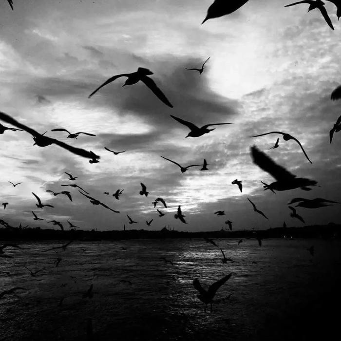 sắc thái u tối của avatar đen buồn