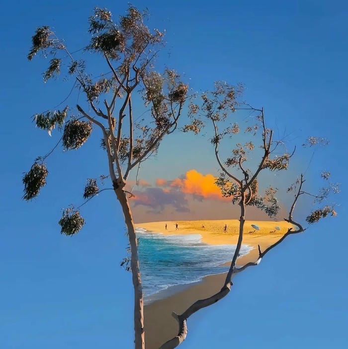 avatar 4k hiển thị sắc nét tự nhiên