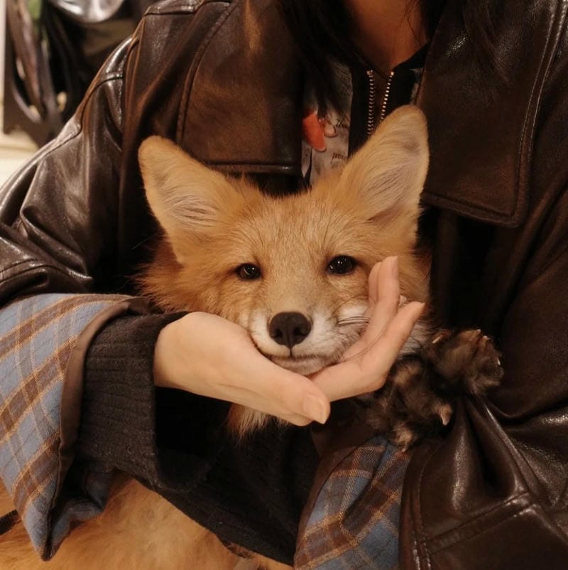 avatar tiktok đẹp cảm giác hiện đại