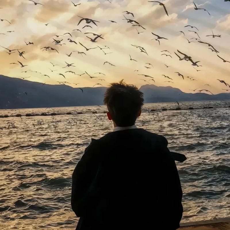 avatar tiktok đẹp hình ảnh cuốn hút