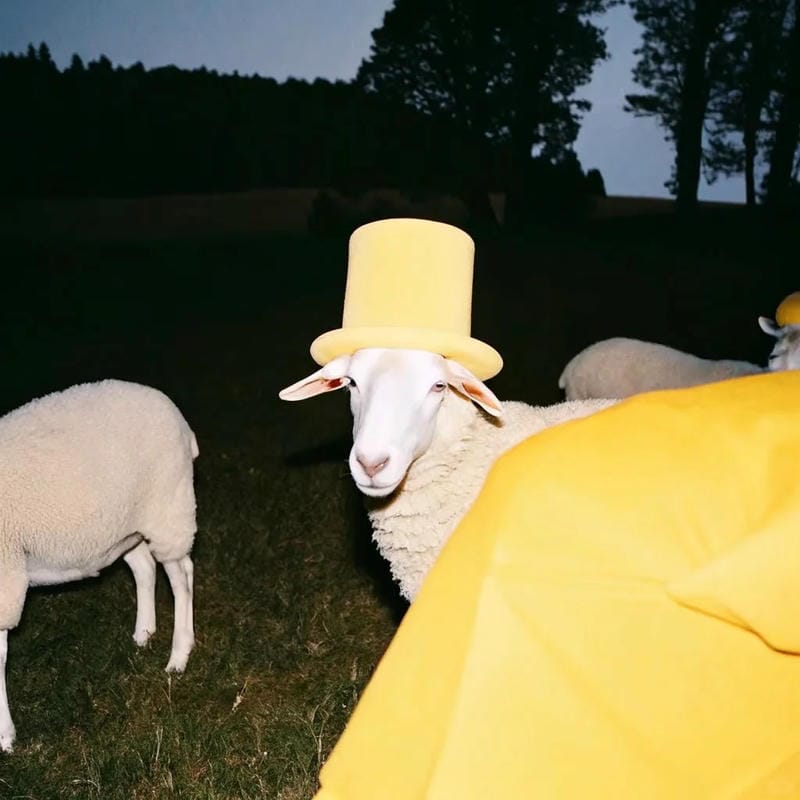 avatar tiktok đẹp phong thái tự tin