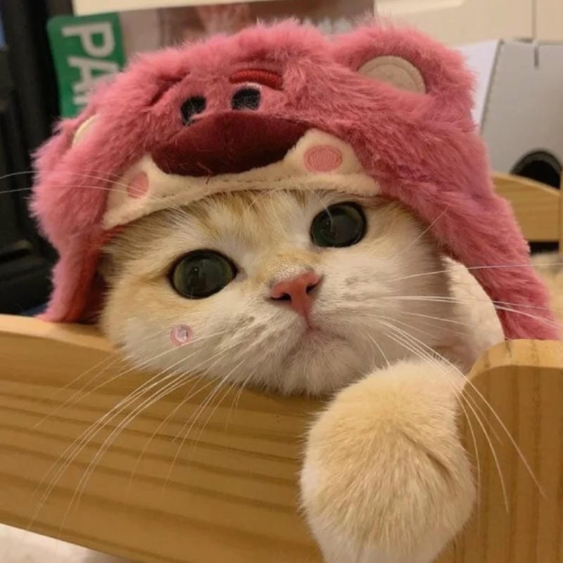 avatar tiktok đẹp thần thái nổi bật