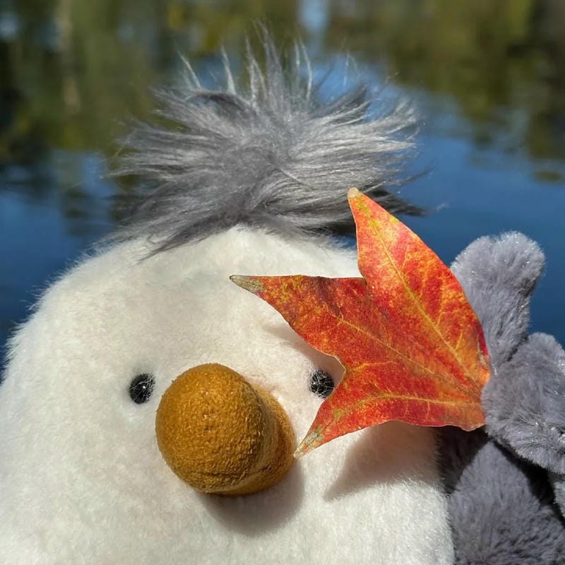 avatar tiktok đẹp tone màu hài hòa