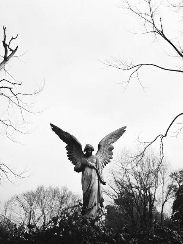 Bộ sưu tập 113+ avatar đen trắng cho team cool ngầu nhất