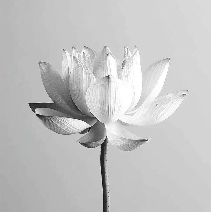 hình ảnh avatar tang lễ trang nghiêm