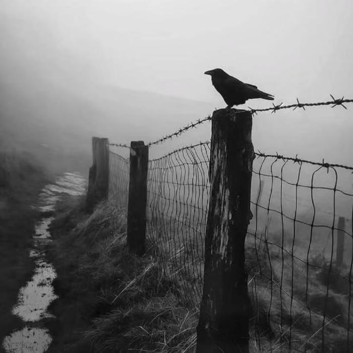 hình avatar đơn sắc ngầu kiểu điện ảnh