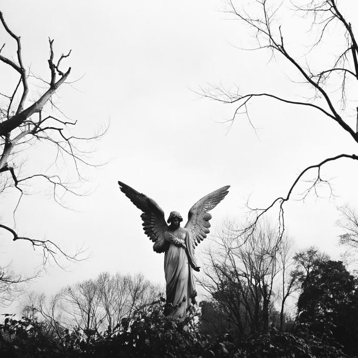 hình đen trắng tạo ấn tượng lạnh