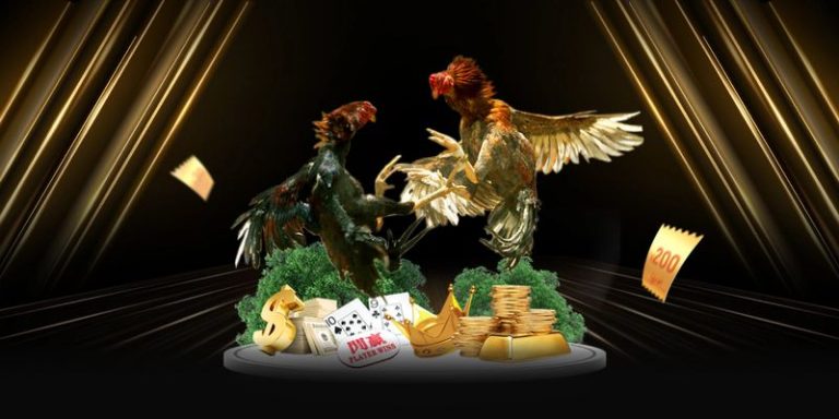 Đá gà hi88 – đỉnh cao cá cược, thắng lớn dễ dàng