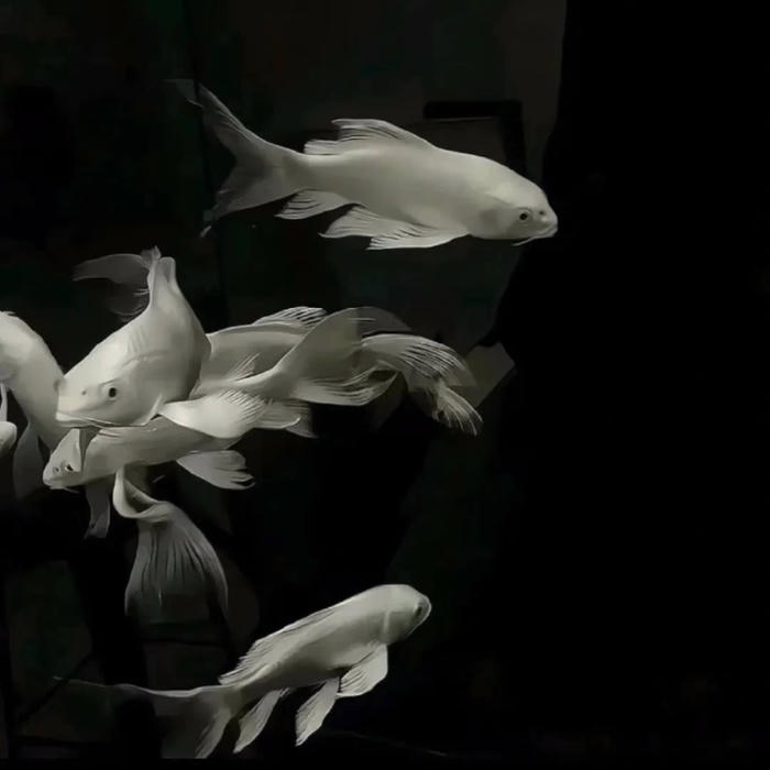 phong cách avatar đen trắng ngầu nghệ thuật