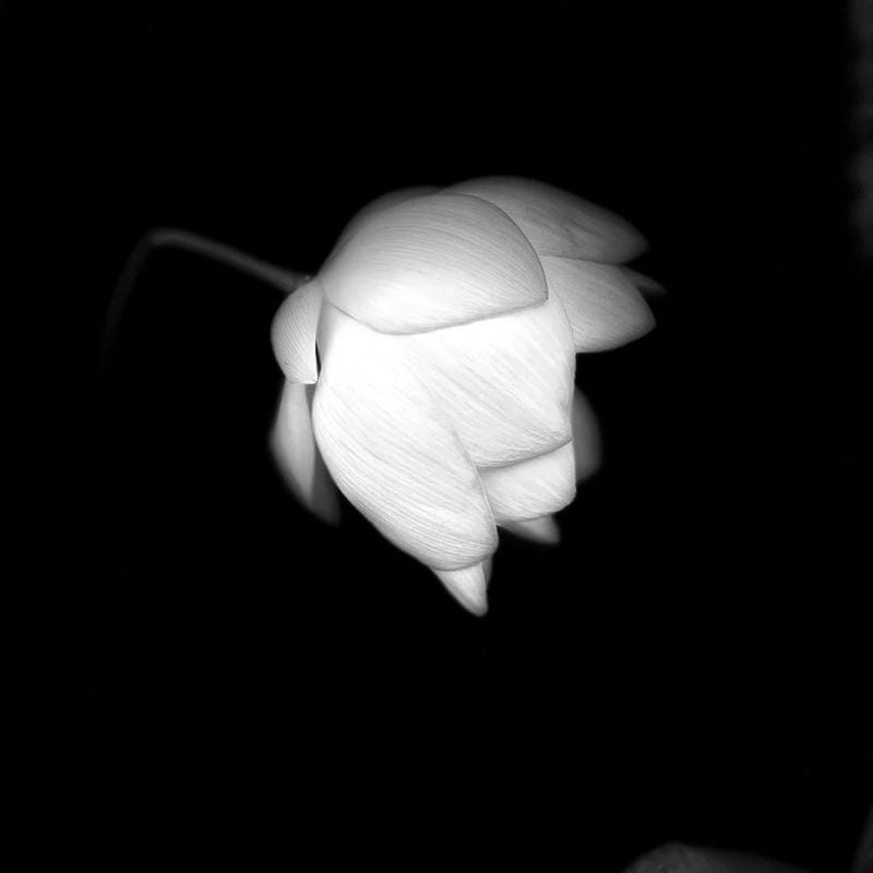 tang lễ avatar không khí tĩnh lặng