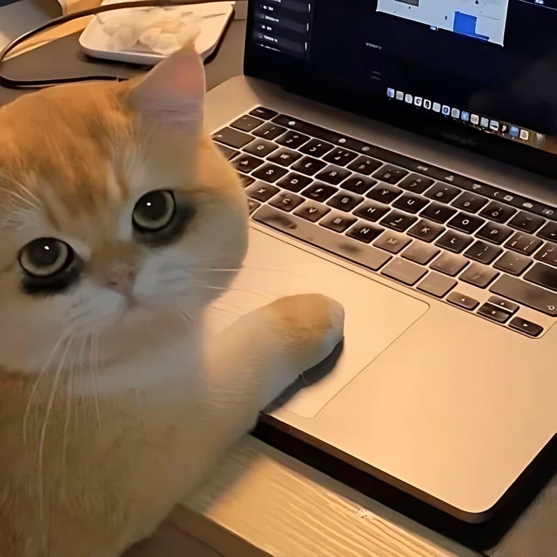 Hình ảnh meme mất ngủ mệt mỏi với vibe tiêu cực