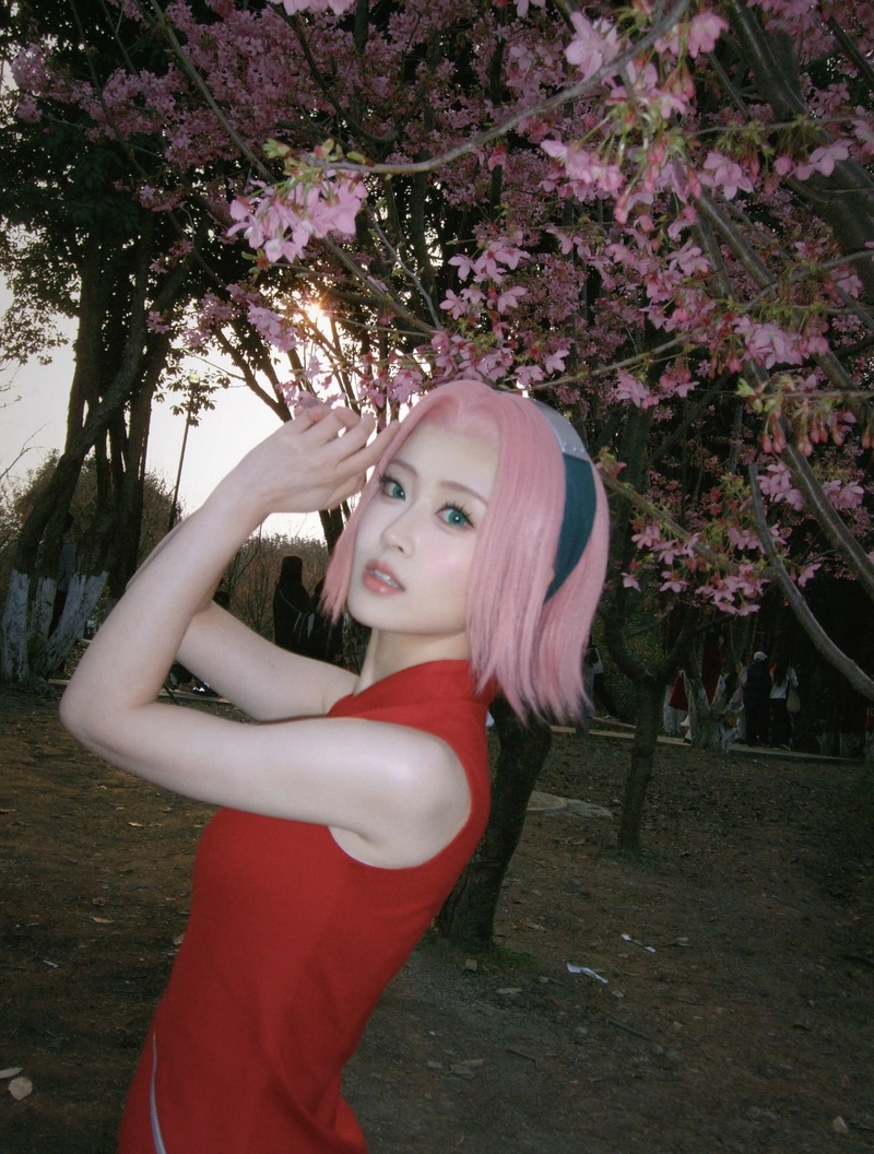 Cosplay sakura phong cách dễ thương quen thuộc