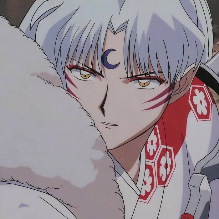 ảnh Inuyasha thần sắc trầm lắng