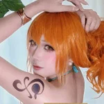 hình cosplay nami chất lượng cao cho sưu tầm